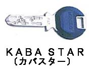 �f�B���v���L�[,�s�b�L���O�΍�,�o���s���O�΍�,�h�Ɛ��̍�����