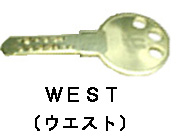 ��,�J�M,�f�B���v���L�[,�s�b�L���O�΍�,�o���s���O�΍�,�h�Ƒ΍�